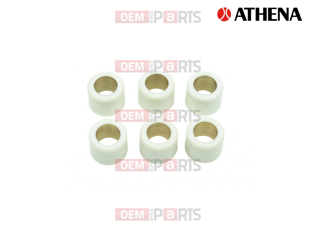 Variator Roll (16x13 - 2g)