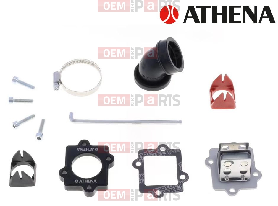 Reed valve (Big Valve System)