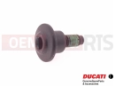 DUCATI 2013 HYPERSTRADA 77210841C - Vis