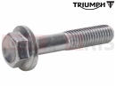 Triumph 2000 THUNDERBIRD SPORT T3200601 - Vis
