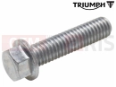 Triumph 2012 SPEEDMASTER EFI T3205067 - Vis