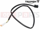 Triumph 2021 SPEED TWIN T2024946 - Microswitch
