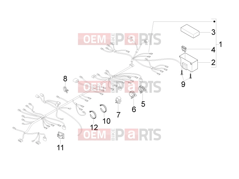 gilera 2011 Runner 50 SP Electrical system » Main cable harness