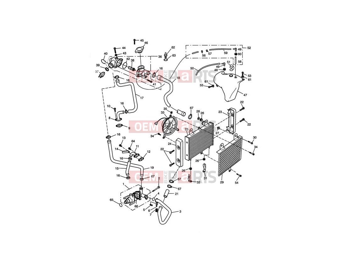Triumph 2003 THUNDERBIRD SPORT Cooling System