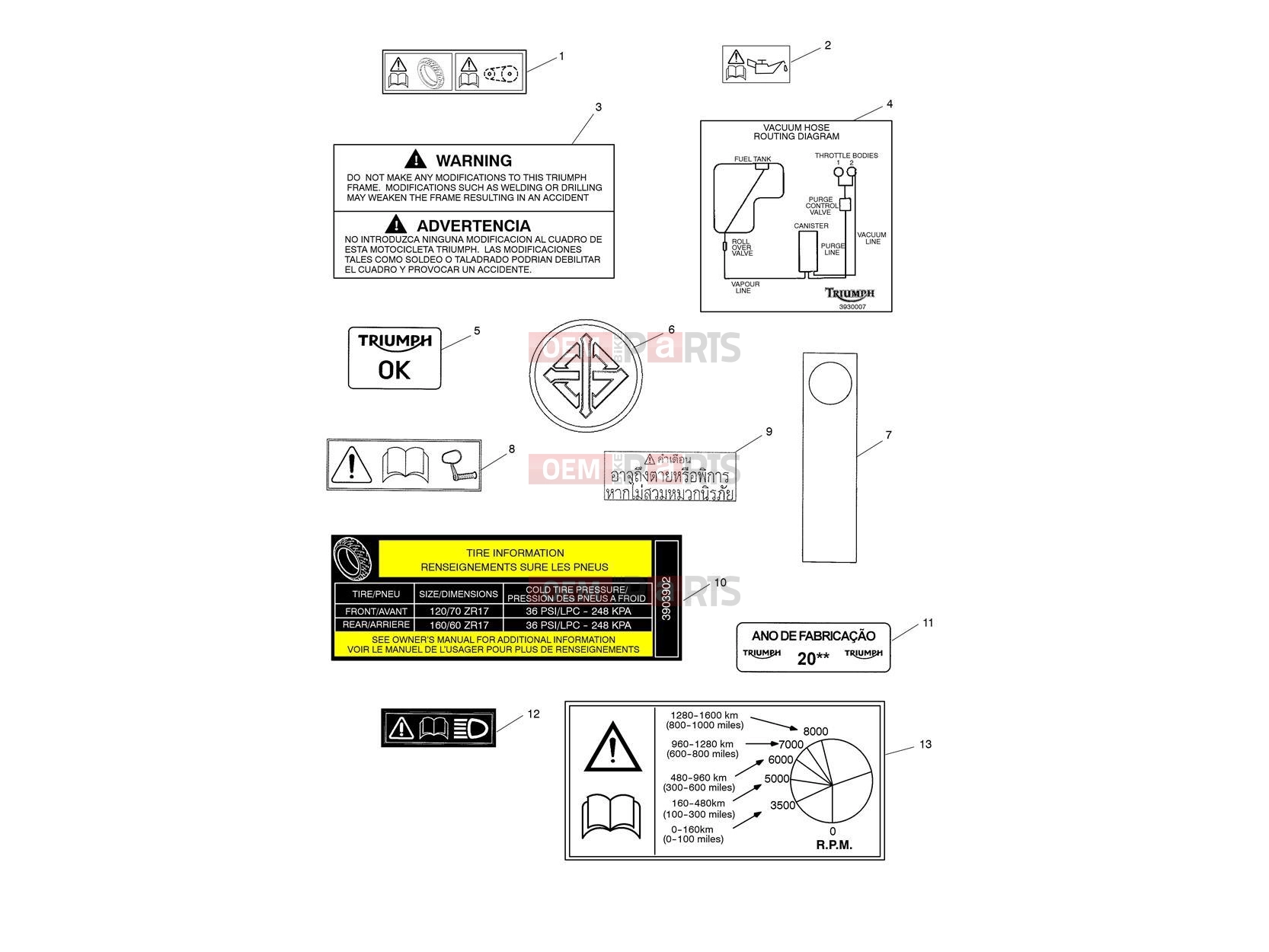 Triumph 2018 THRUXTON Warning Labels