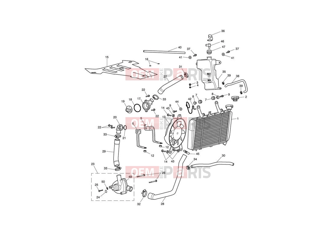 Cooling System - Triumph SPRINT ST 208167 > 2006