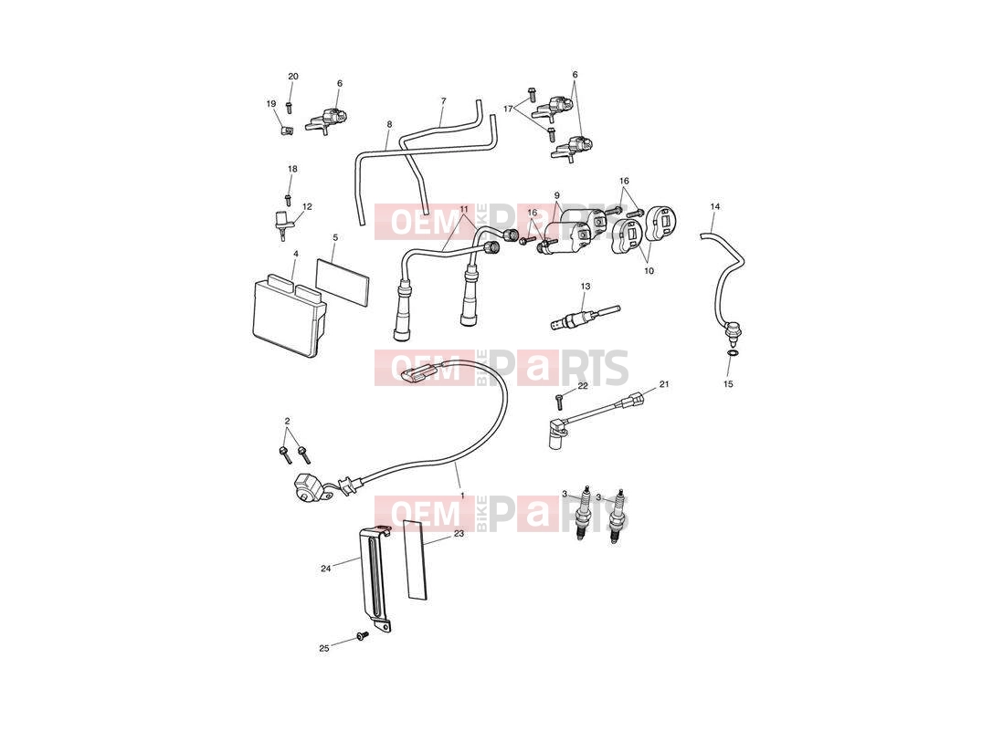Triumph 2010 SPEEDMASTER EFI Engine Management System