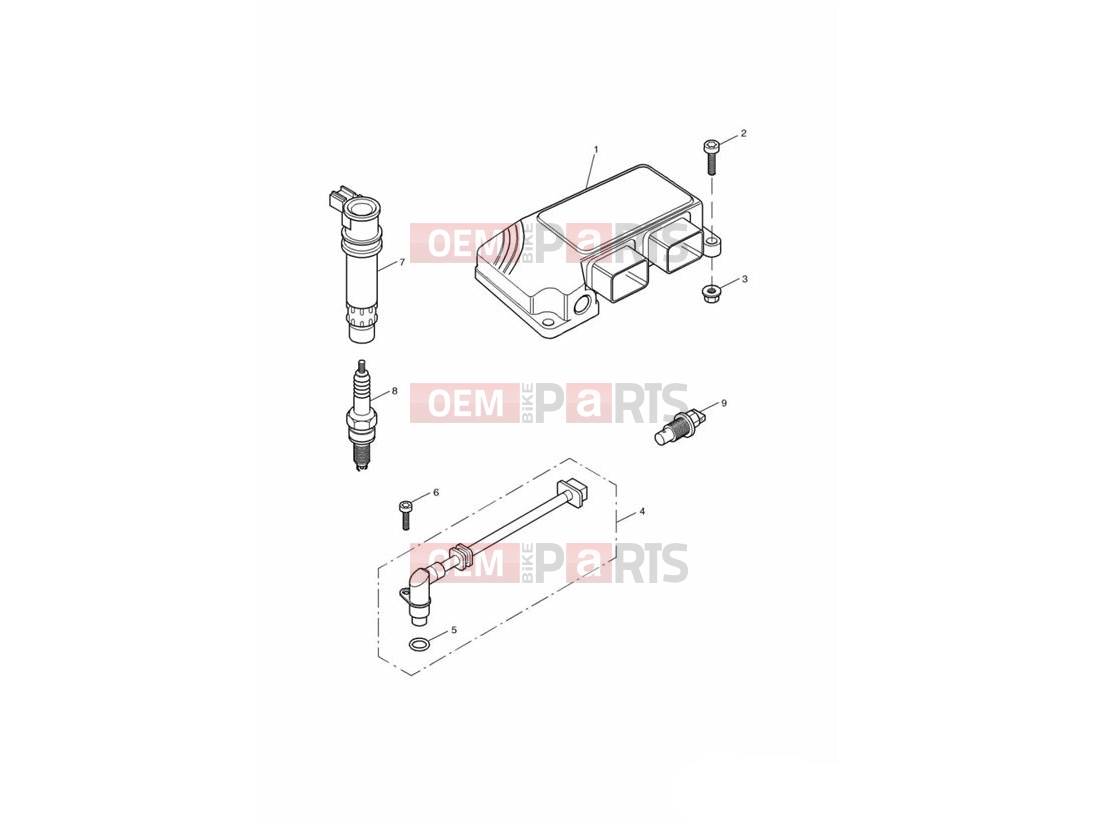 Triumph 2000 TT600 Engine Management System