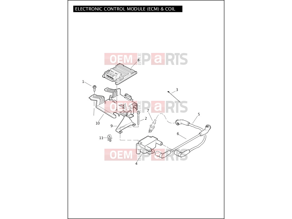 ELECTRONIC CONTROL MODULE (ECM) & COIL - Harley-Davidson CVO ULTRA CLASSIC - FLHTCUSE7 2012
