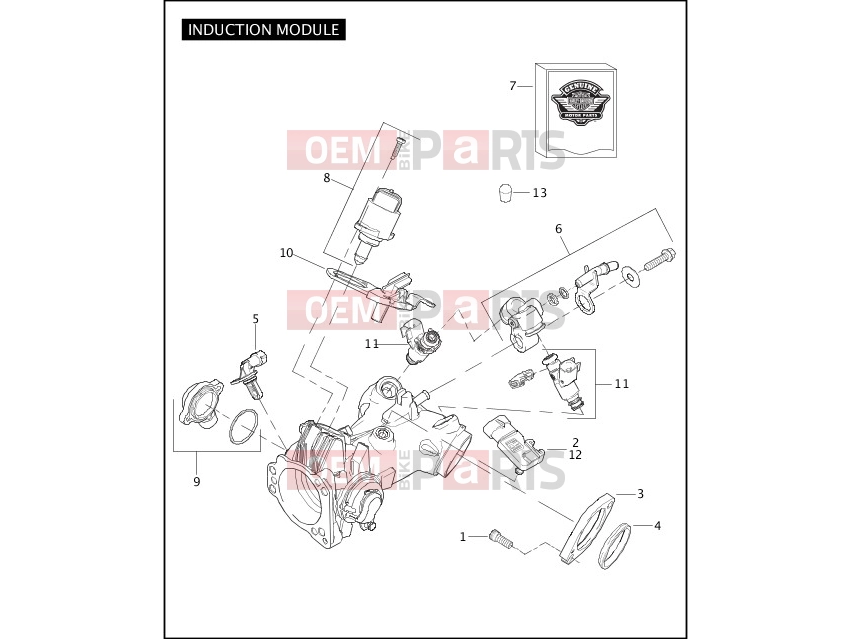 Harley-Davidson 2010 SOFTAIL SOFTAIL STANDARD  - FXST INDUCTION MODULE