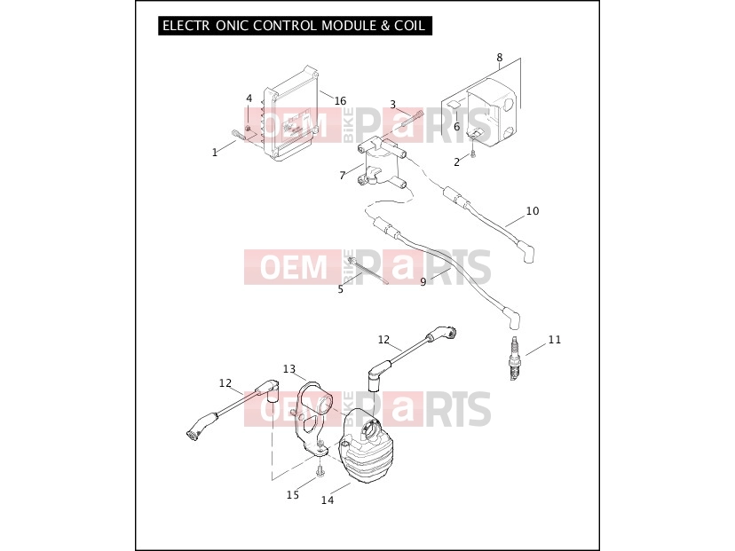 Harley-Davidson 2008 SOFTAIL ROCKER  - FXCW ELECTRONIC CONTROL MODULE & COIL