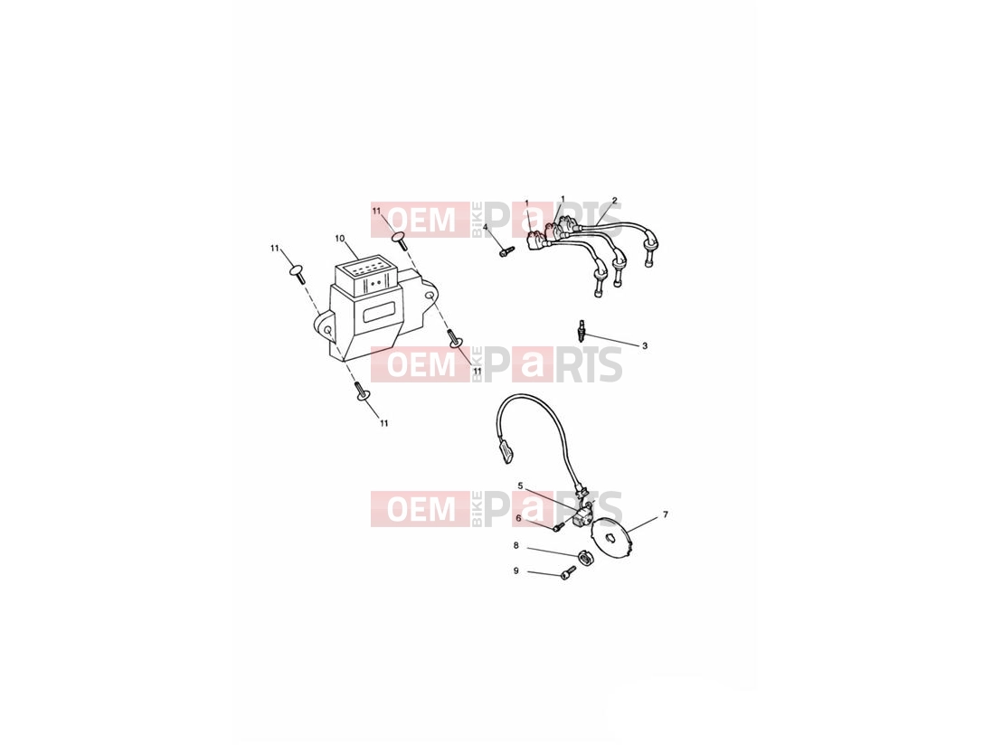 Triumph 2002 THUNDERBIRD Ignition System 111990 »