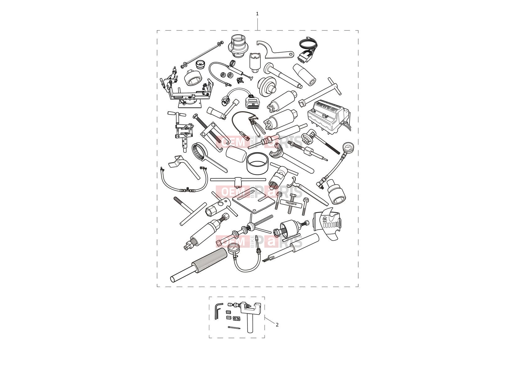 Triumph 2024 Speed 400 Service Tools
