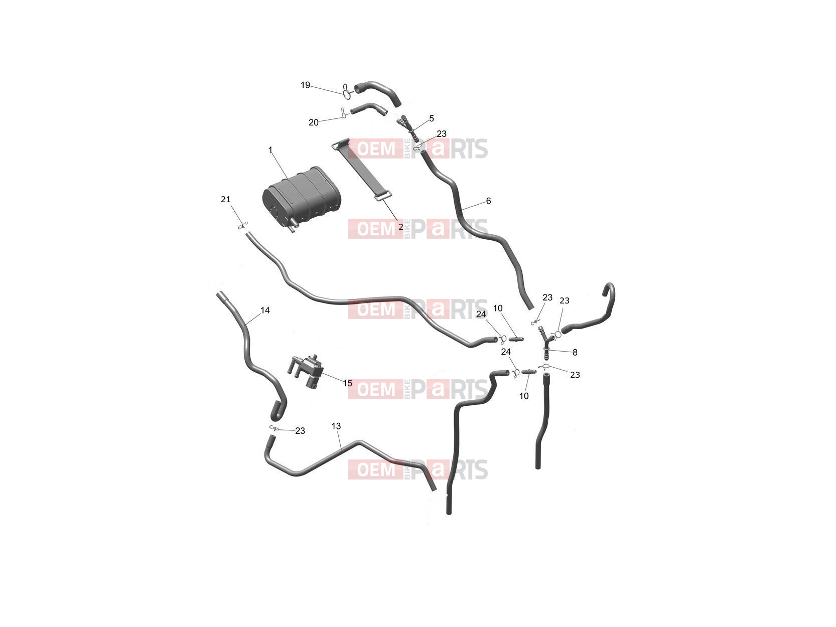 Triumph 2026 THRUXTON 400 Evap System - US Only