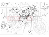 DUCATI Monster 796 ABS - DMT WIRING HARNESS » WIRING HARNESS