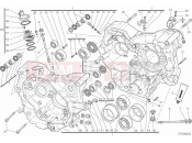DUCATI Monster 1100 DIESEL CRANKCASE » ENGINE CASE