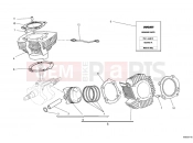 DUCATI Monster 696 ABS CYLINDER - PISTON » ENGINE CASE