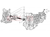 Crankshaft - Piaggio X9 200
