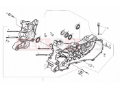 Carters - Derbi Atlantis 50 4T 2007