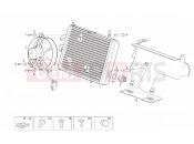DERBI Rambla 300 Water cooler