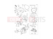 KAWASAKI W800 (EJ800ABS) Left Engine Cover(s)
