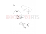 Labels - Kawasaki W800 (EJ800ADF) 2013