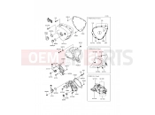 Left Engine Cover(s) - Kawasaki W800 (EJ800AGF) 2016