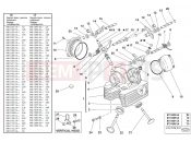 DUCATI Monster 1000 S VERTICAL HEAD