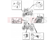 MV AGUSTA Brutale 1078 RR Foreign Countries Versions