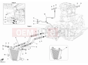 DUCATI Superbike 749 Dark OIL COOLER » LUBRICATION SYSTEM