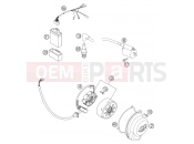IGNITION SYSTEM - KTM 85 SX (6001D8) [EU] 2004
