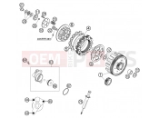 CLUTCH - KTM 65 SX (600126) [EU] 2002