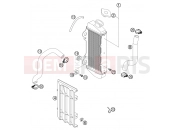 COOLING SYSTEM - KTM 65 SX (600126) [EU] 2002