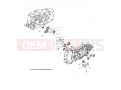 INDIAN SPRINGFIELD ALL OPTIONS (R07) (N19THAAA) ENGINE | ENGINE, CRANKCASE BEARINGS - N19THAAA ALL OPTIONS (49INDIANCRANKCASEBRG14)
