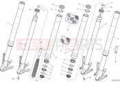 DUCATI Monster 821 FRONT FORK [MOD:M 821;XST:CHN]