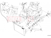 DUCATI Multistrada 950 COOLING CIRCUIT [MOD:MS950]
