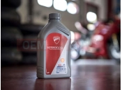 DUCATI 2019 Monster 797+ SHELL ADVANCE [MOD:M 797]
