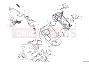 DUCATI 2020 Hypermotard 950 SP THROTTLE BODY [MOD:HYM950SP]