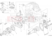 DUCATI 2021 Scrambler Icon Dark HORIZONTAL HEAD – TIMING SYSTEM [MOD:SCR800DK]