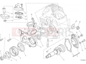 DUCATI Scrambler 1100 Pro HORIZONTAL HEAD – TIMING SYSTEM [MOD:SCR11DRK]