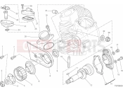 DUCATI Scrambler Cafe Racer HORIZONTAL HEAD – TIMING SYSTEM [MOD:SCR800CR]
