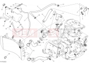 DUCATI 2021 Monster 1200 S COOLING SYSTEM [MOD:M 1200S]