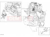 DUCATI Panigale V4 ENGINE ELECTRIC SYSTEM [MOD:PANV4]