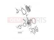 Triumph 2006 DAYTONA 600 & 650 Engine Covers - Daytona 600
