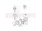 TRIUMPH TRIDENT Lubrication System
