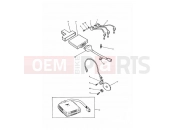 TRIUMPH TRIDENT Ignition System