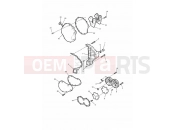 TRIUMPH THUNDERBIRD SPORT Engine Covers