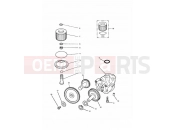 TRIUMPH THUNDERBIRD SPORT Lubrication System