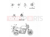 TRIUMPH SPEED TRIPLE (CARBS) Bodywork Fixings