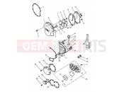 TRIUMPH SPEED TRIPLE (CARBS) Engine Covers
